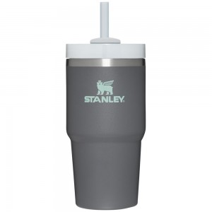 Tumbler Stanley Quencher H2.0 Travel | 20 OZ Gris | BFXC-60594