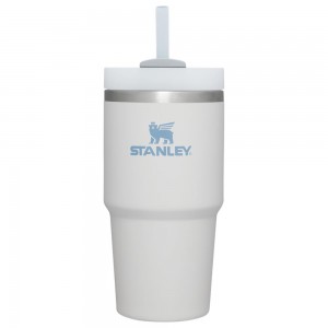 Tumbler Stanley Quencher H2.0 Travel | 20 OZ Gris | MFGC-07938
