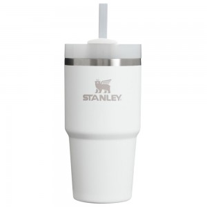 Tumbler Stanley Quencher H2.0 Travel | 20 OZ Blancas | EAIJ-67412