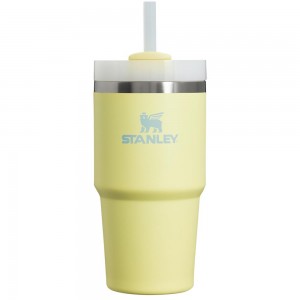 Tumbler Stanley Quencher H2.0 Travel | 20 OZ Amarillo | LPHX-36415