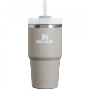 Tumbler Stanley Quencher H2.0 Travel | 20 OZ Gris | CHOI-20479