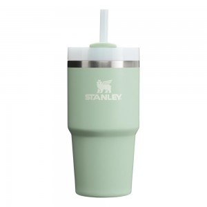 Tumbler Stanley Quencher H2.0 Travel | 20 OZ Creme | LXVO-42593