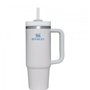 Tumbler Stanley Quencher H2.0 Travel | 30 OZ Gris | KZGB-29510