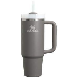 Tumbler Stanley Quencher H2.0 Travel | 30 OZ Gris | YLUF-52198