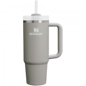 Tumbler Stanley Quencher H2.0 Travel | 30 OZ Gris | TVSM-69743