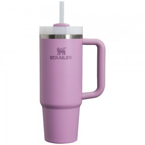 Tumbler Stanley Quencher H2.0 Travel | 30 OZ Moradas | YZXE-60149