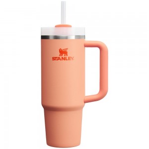 Tumbler Stanley Quencher H2.0 Travel | 30 OZ Rosas | MKBU-59803