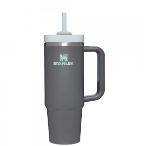 Tumbler Stanley Quencher H2.0 Travel | 30 OZ Gris | MVTC-93174