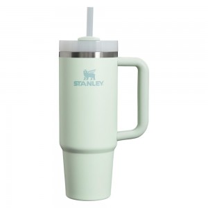 Tumbler Stanley Quencher H2.0 Travel | 30 OZ Darkseagreen | USKJ-24369