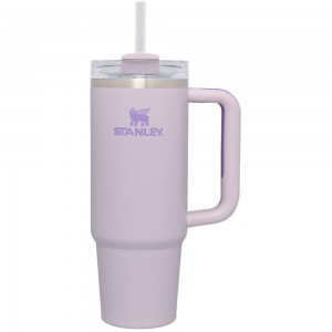 Tumbler Stanley Quencher H2.0 Travel | 30 OZ Moradas | CGDE-56938