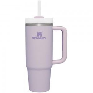 Tumbler Stanley Quencher H2.0 Travel | Soft Matte | 30 OZ Moradas | TXPG-65349