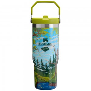Tumbler Stanley The Always With Honor IceFlow™ Flip Straw | 30 OZ Verde | VREZ-51467
