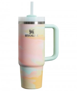 Tumbler Stanley The Clean Slate Brushstrokes Quencher H2.0 FlowState™ | 30 OZ Multicolor | DGKS-98423