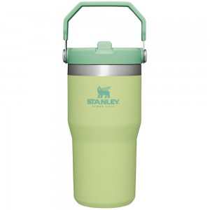 Tumbler Stanley The IceFlow Flip Straw | 20 OZ | Insulated Water | Sta Verde | FCPS-34570