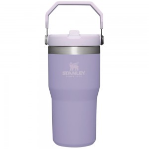 Tumbler Stanley The IceFlow Flip Straw | 20 OZ | Insulated Water | Sta Moradas | HIMP-53176
