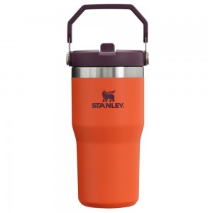 Tumbler Stanley The IceFlow Flip Straw | 20 OZ | Insulated Water | Sta Naranjas | INOX-78420