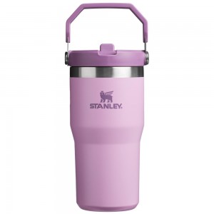Tumbler Stanley The IceFlow Flip Straw | 20 OZ | Insulated Water | Sta Moradas | EQMB-18409