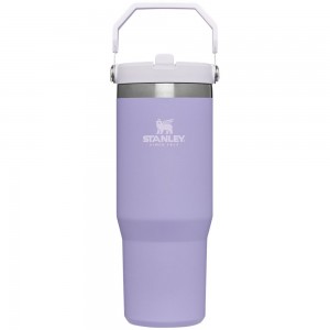 Tumbler Stanley The IceFlow Flip Straw | 30 OZ | Insulated Water Moradas | KTCH-70186