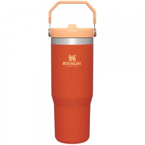 Tumbler Stanley The IceFlow Flip Straw | 30 OZ | Insulated Water Naranjas | RNKP-32870