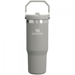 Tumbler Stanley The IceFlow Flip Straw | 30 OZ | Insulated Water Gris | WPFJ-71396