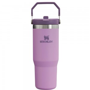 Tumbler Stanley The IceFlow Flip Straw | 30 OZ | Insulated Water Moradas | CHEF-74830