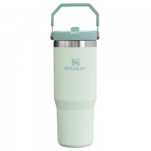 Tumbler Stanley The IceFlow Flip Straw | 30 OZ | Insulated Water Darkseagreen | PUGB-62487