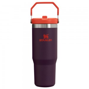 Tumbler Stanley The IceFlow Flip Straw | 30 OZ | Insulated Water Moradas | CUYT-19786
