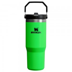 Tumbler Stanley The Neon IceFlow™ Flip Straw | 30 OZ Verde | UHSR-91628
