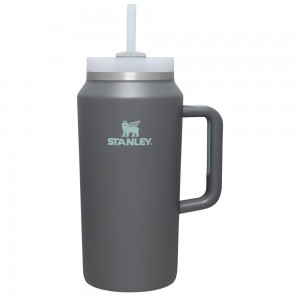 Tumbler Stanley The Quencher H2.0 FlowState™ | 64 OZ Gris | SLZY-96280