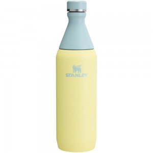Vacuum Bottles Stanley All Day Slim Bottle | 20 OZ Amarillo | DWHJ-14690