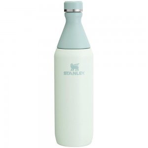 Vacuum Bottles Stanley All Day Slim Bottle | 20 OZ Darkseagreen | OTNR-83240