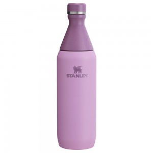Vacuum Bottles Stanley All Day Slim Bottle | 20 OZ Moradas | IVCK-13920