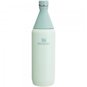Vacuum Bottles Stanley All Day Slim Bottle | 34 OZ Darkseagreen | NOER-95840