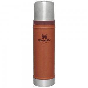 Vacuum Bottles Stanley Classic Legendary Vacuum Insulated Water Bottle | 20 OZ Marrones | DKTM-17094