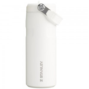 Vacuum Bottles Stanley The IceFlow™ Bottle with Flip Straw Lid | 16 OZ Blancas | HJSF-56810