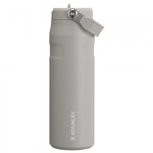 Vacuum Bottles Stanley The IceFlow™ Bottle with Flip Straw Lid | 24 OZ Gris | TRSI-82934
