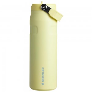 Vacuum Bottles Stanley The IceFlow™ Bottle with Flip Straw Lid | 24 OZ Amarillo | OSCH-01823
