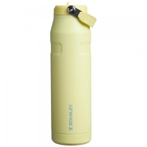 Vacuum Bottles Stanley The IceFlow™ Bottle with Flip Straw Lid | 36 OZ Amarillo | MEWK-47629