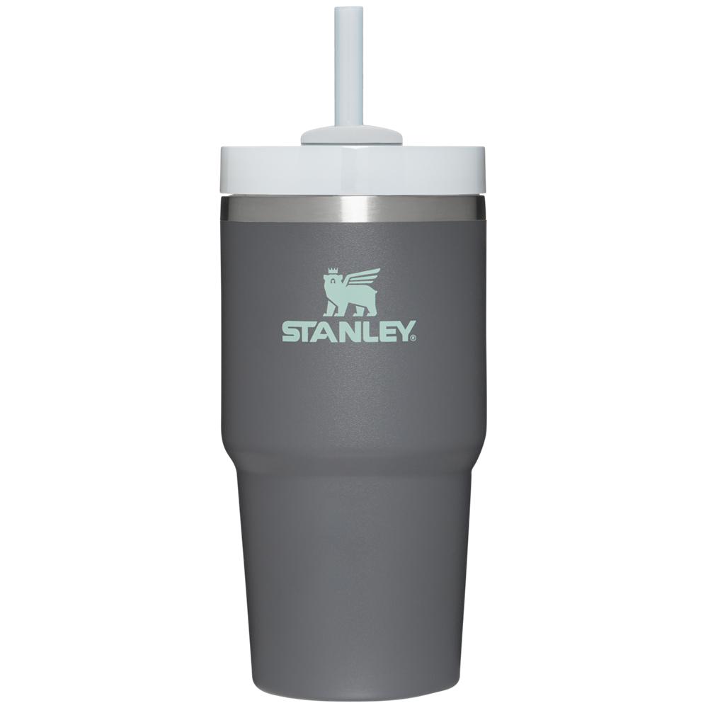 Botellas de Agua Stanley Quencher H2.0 Travel Tumbler | 20 OZ Gris | IQEG-84397