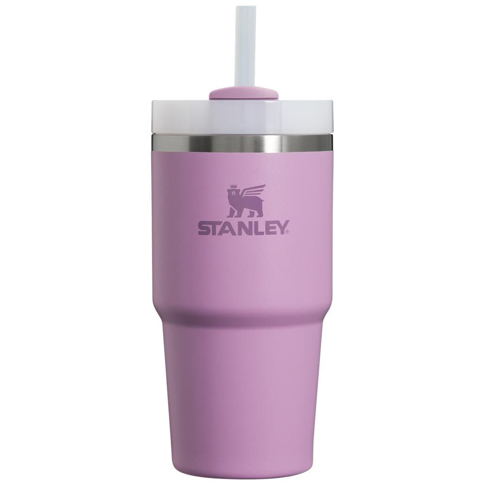 Botellas de Agua Stanley Quencher H2.0 Travel Tumbler | 20 OZ Moradas | ZPYI-72538