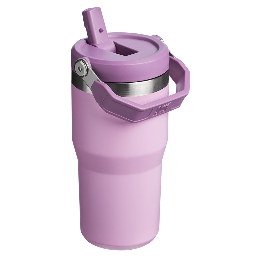 Botellas de Agua Stanley The IceFlow Flip Straw Tumbler | 20 OZ | Insulated Water Tumbler | Sta Moradas | HXRQ-67084