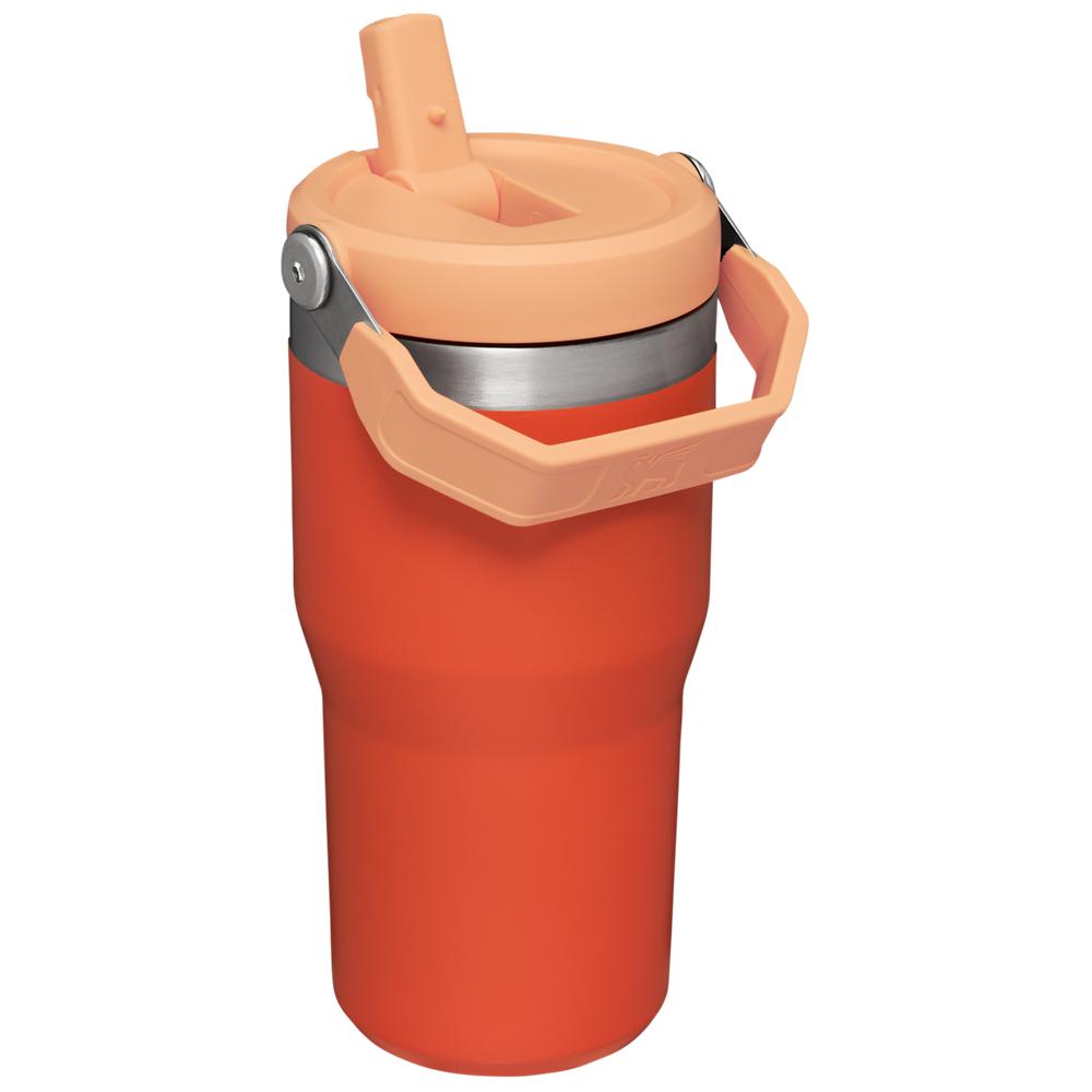 Tumbler Stanley The IceFlow Flip Straw | 20 OZ | Insulated Water | Sta Naranjas | TGNV-50743