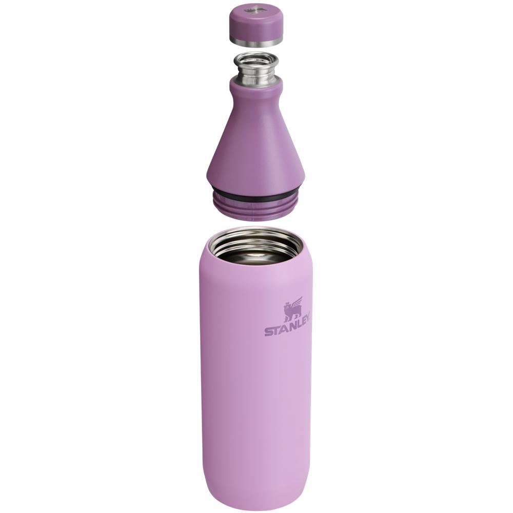 Vacuum Bottles Stanley All Day Slim Bottle | 20 OZ Moradas | IVCK-13920